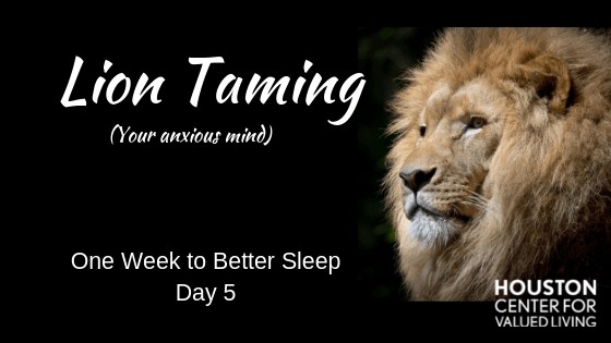 Lion Taming – One Week to Better Sleep