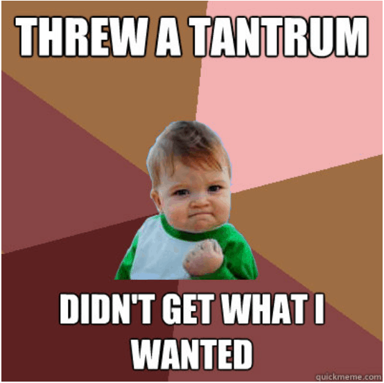 Image of toddler tantrum 