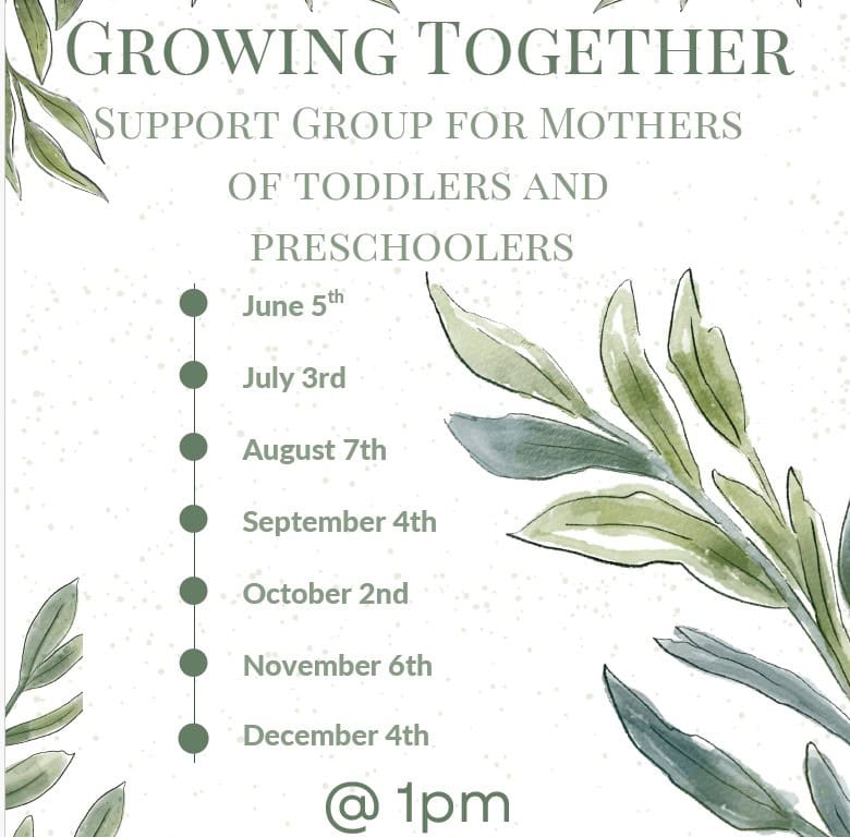 toddler and preschooler support group