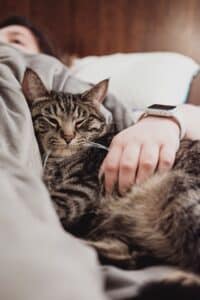 Image of person holding a cat in bed to illustrate postpartum pet care.
Photo by Chris Abney on Unsplash